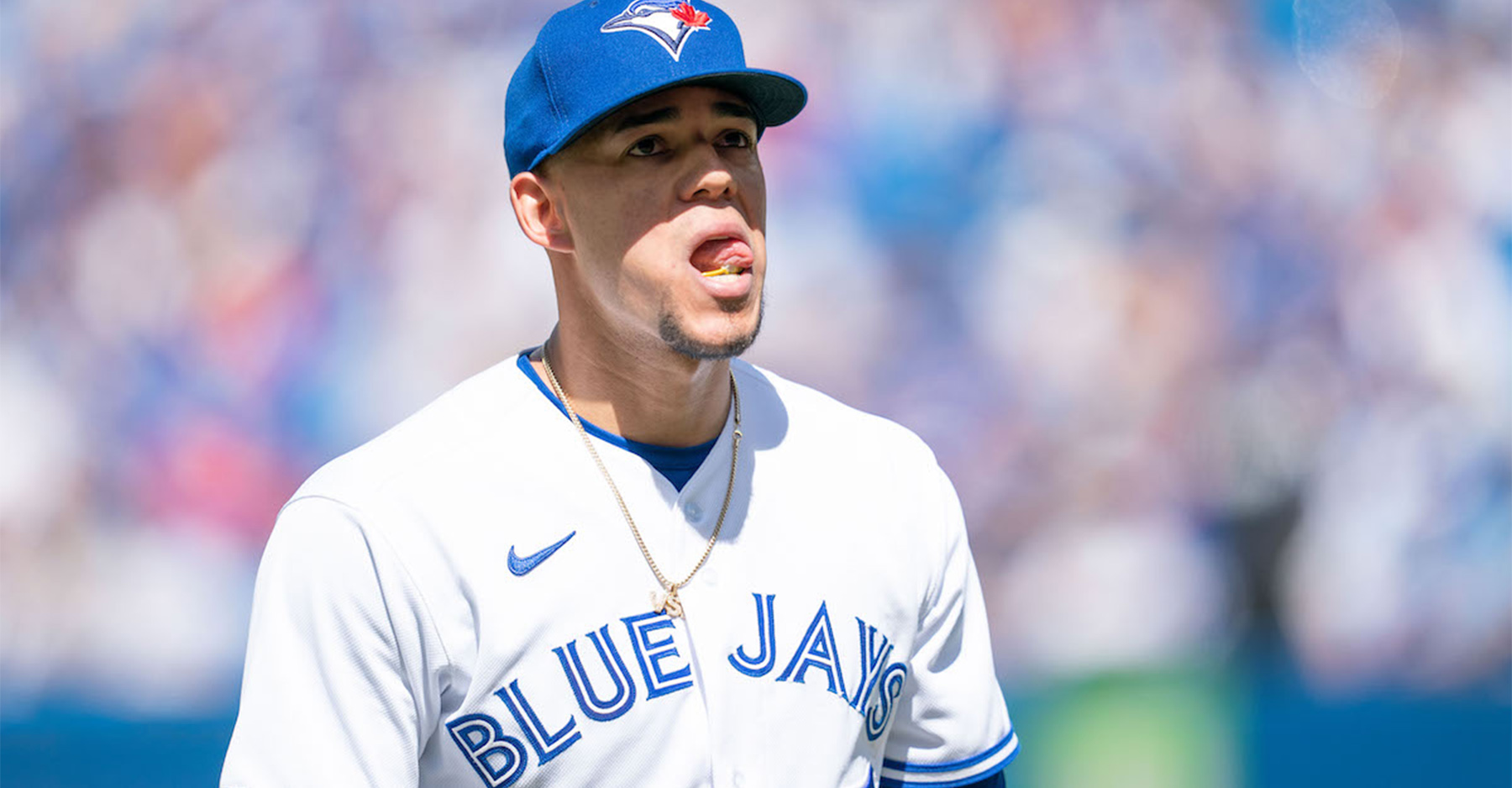 Le camp des Jays approche - On en est où - Ensuite